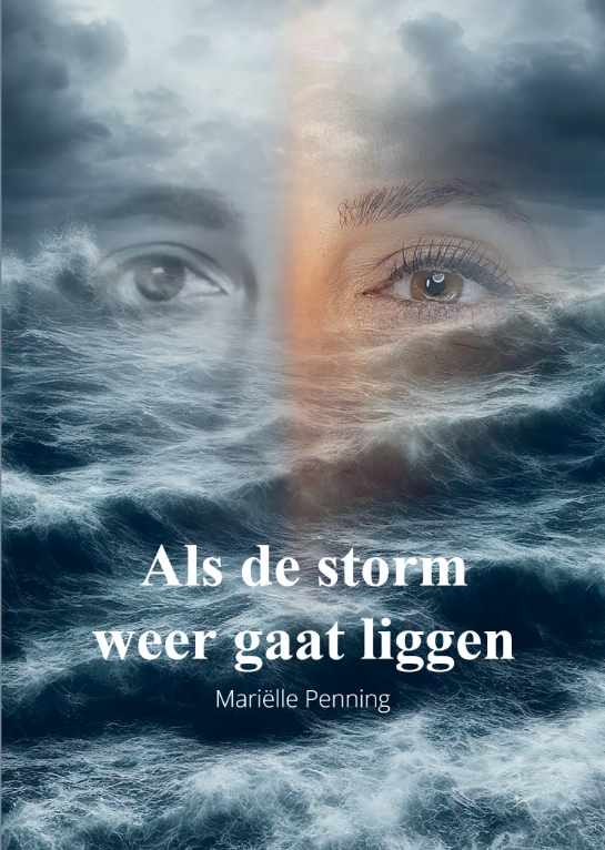 screenshot 2026 02 27 at 13 14 02 pdf x 3 als de storm weer gaat liggen als de storm weer gaat liggencover 8.pdf screenshot 2026 02 27 at 13 14 02 pdf x 3 als de storm weer gaat liggen als de storm weer gaat liggencover 8.pdf