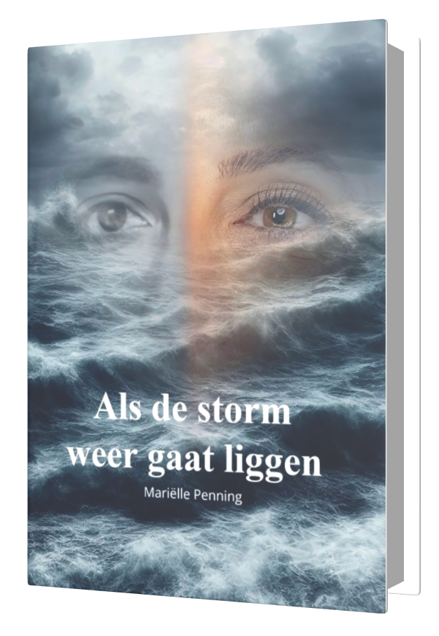3D book ontwerp